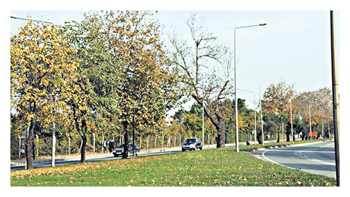 CHP katliamına Gezici isimler kör!