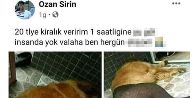 CHP yandaşı medyadan Cumhurbaşkanı Erdoğan'a alçak iftira! Hayvanlara istismarı gizlediler