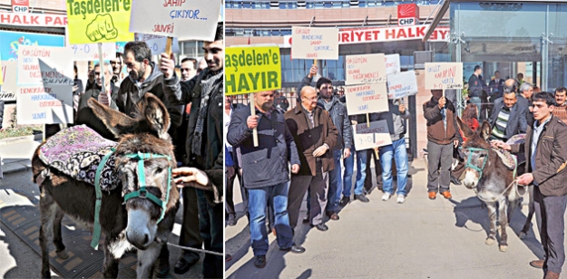 CHP’de eşekli isyan!