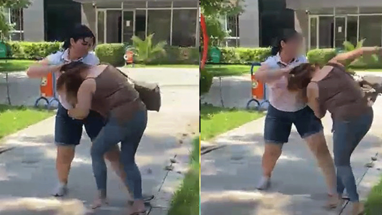 CHP’deki fuhşiyat parklara taştı: Karısının parkta bastığı ahlaksız CHP’nin müdürü çıktı