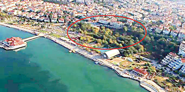 CHP’den ağaç katliamı