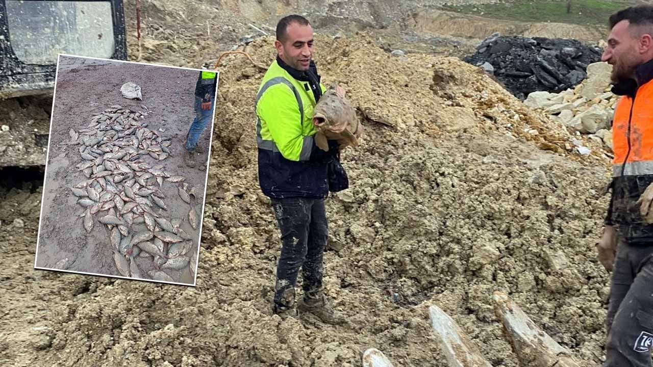 CHP’in rezil zihniyetinin kısa özeti! Mavi Göl’ü çamurla doldurup balıkları katlettiler