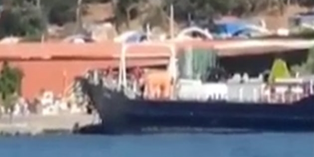 CHP'li Adalar Belediyesi'nden skandal! Suçüstü yakalandı!