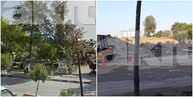 CHP’li Adana Büyükşehir Belediyesi'nden akı almaz çevre katliamı!