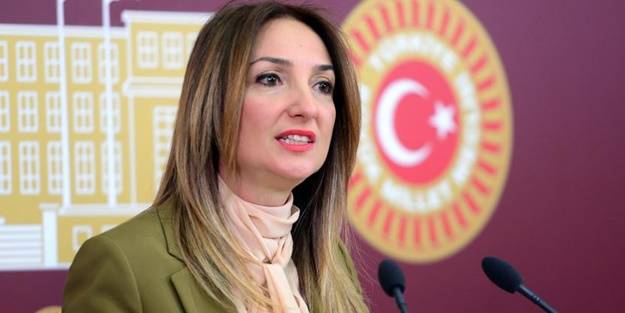 CHP'li Aylin Nazlıaka şoförden özür dileyecek mi? 'Partililerimizi ezmeye çalıştı' iftirası attığı şoför, 40 yıllık CHP'li çıktı!