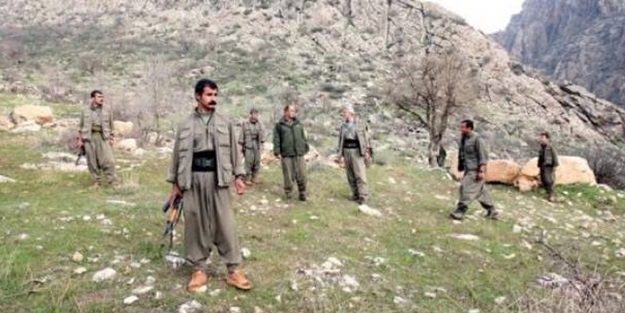 CHP'li başkan: Yaşlı olmasaydım dağa çıkardım