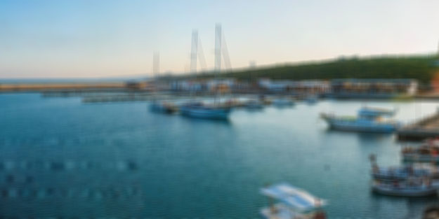 CHP'li başkanın yat limanı peşkeşinde iflas çıktı