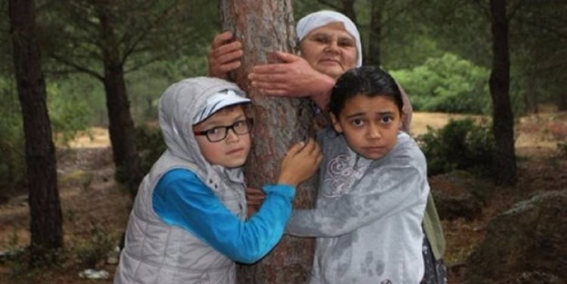 CHP'li belediye 4000 ağaç kesecek