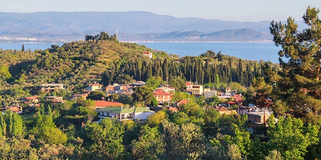 CHP'li belediye başkanı villa için Kaz Dağları'nı katletti!