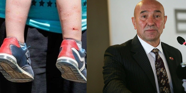 CHP'li belediye resmen umursamıyor! İzmir'de sinek istilası!