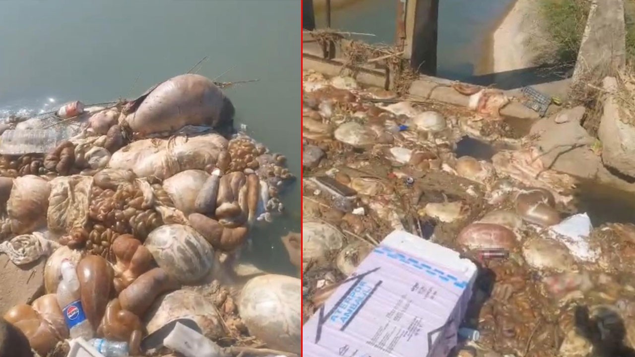 CHP’li belediye uyudu, sulama kanalı işkembe doldu!