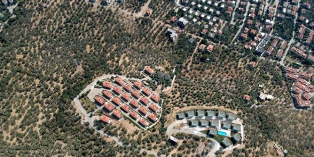 CHP'li belediye villa uğruna 2,5 milyon ağacı katletti
