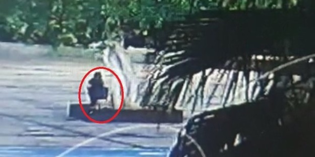 CHP'li belediye yarım asırlık ağacı neden zehirledi? Mersin bu iddia ile çalkalanıyor