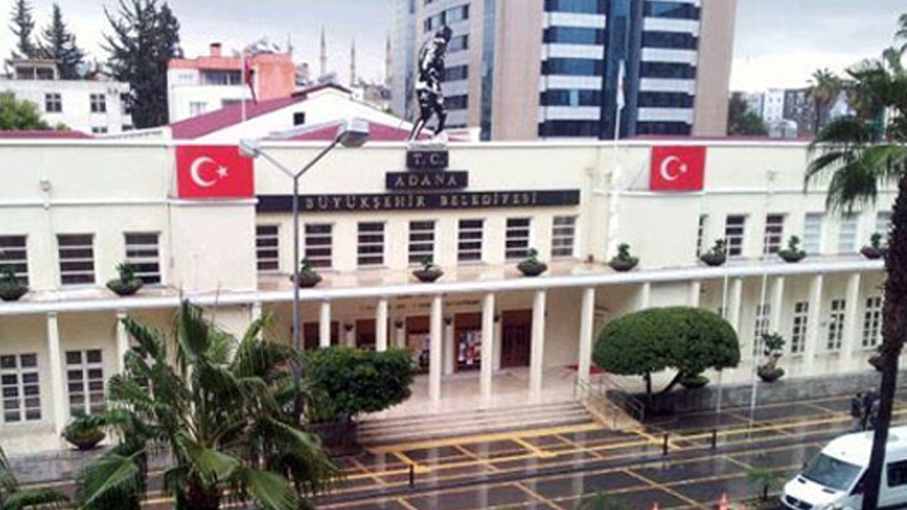 CHP’li belediyede sonuç yok! Sokak köpekleri vatandaşı bıktırdı