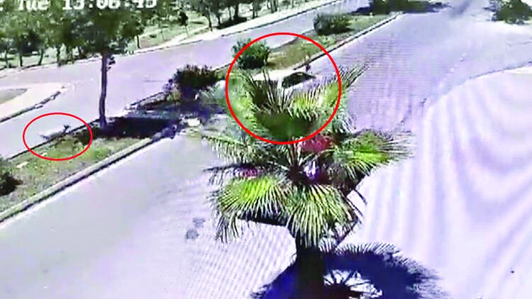 CHP’li belediyeler köpekperestlere şirin gözükmek için insan hayatını hiçe sayıyor