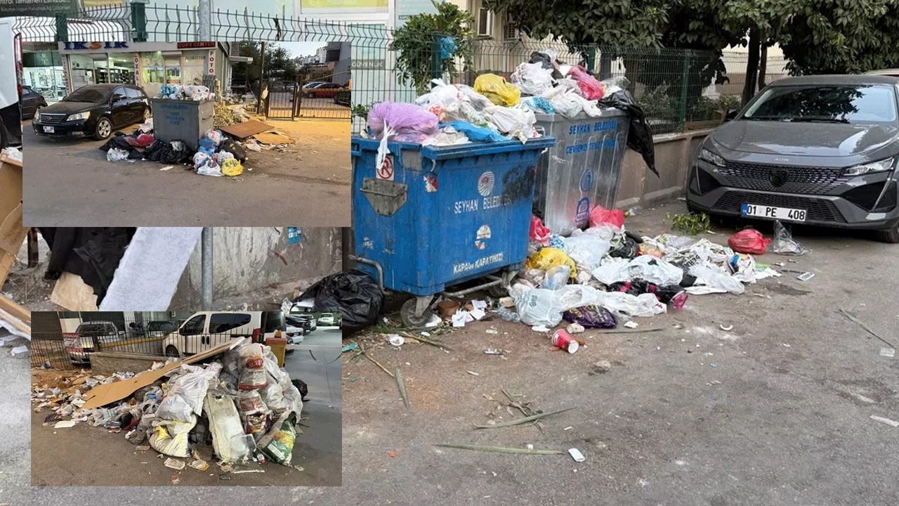 CHP'li belediyelerden müthiş hizmet! Çöp dağları