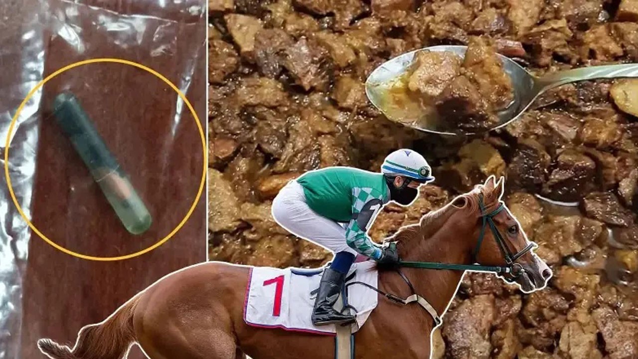 CHP’li Belediyenin dağıttığı kavurmadan yarış atı çipi çıktı: Atları kesip vatandaşa yedirmişler