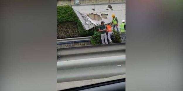 CHP'li İBB çevre katliamı yapıyor!