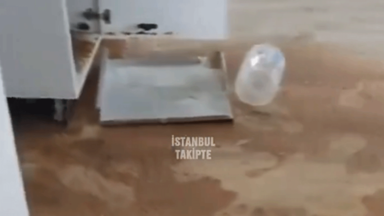 CHP’li İBB iştiraki Kiptaş evleri resmen kakalamış! Vatandaşa teslim ettiği evler dökülüyor! Skandal görüntüler ortaya çıktı!