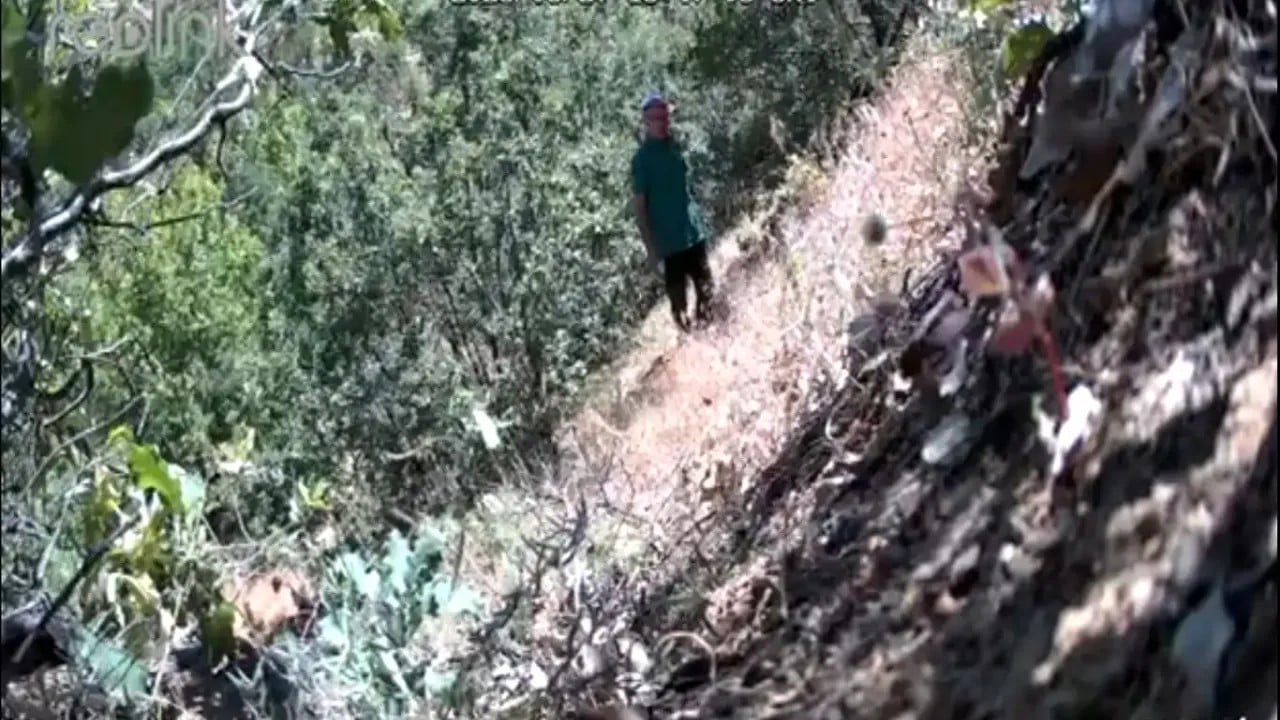 CHP'li ilçe başkanından ormanlık alanda uyuşturucu tarlası! Kenevirleri sularken fotokapana yakalandı!