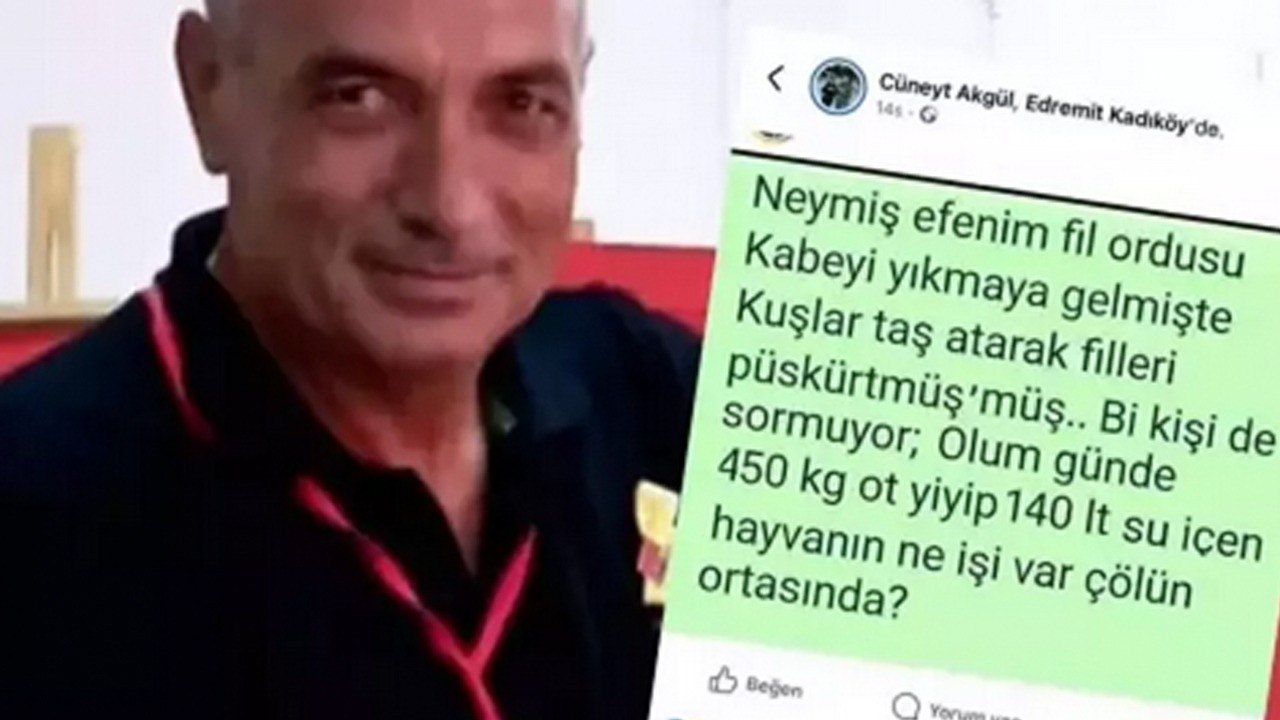CHP'li isimden alaycı skandal paylaşım: Fil suresi ile fil dalga geçti! O isim görevden alındı