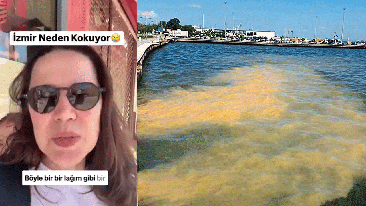 CHP’li kadın her şeyi söyledi ama İzmir b.k kokuyor diyemedi! İzmir’in kendisine has lağım gibi bir kokusu var ama ne olduğunu çözemedim