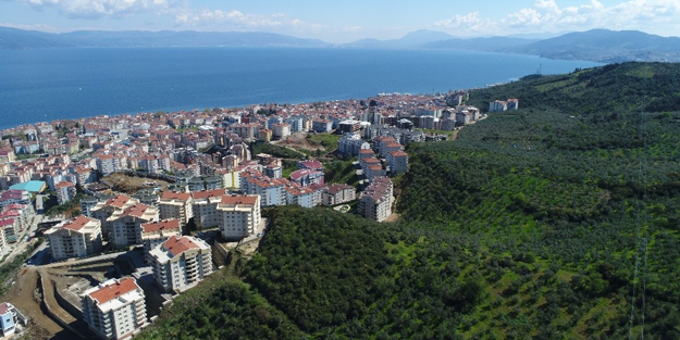 Ortaya çıktı! CHP zeytinlikleri satmış!