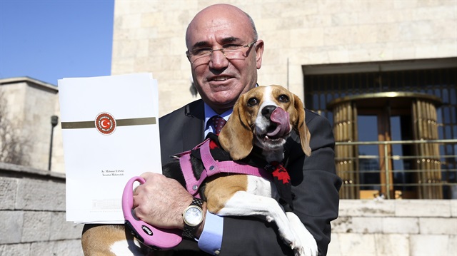 CHP'li Tanal Meclis'e köpeğiyle geldi