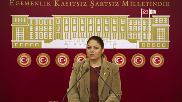 CHP'li Zeynep Altıok, hayvan hakları için harekete geçti