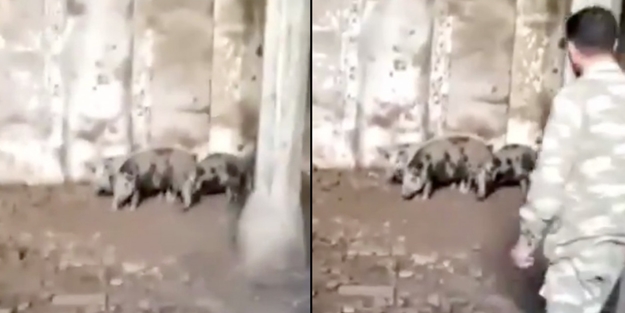 CHP'nin izindeler... Ermeni domuzlar tarihi camiyi ahıra çevirmiş!