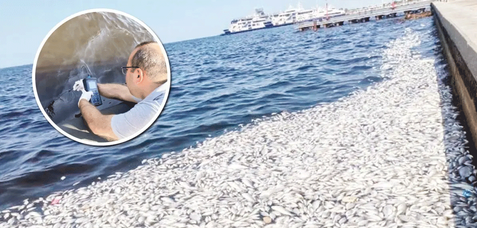 CHP'nin İzmir'i getirdiği son durum: Denizden insanlara da geçiyor!