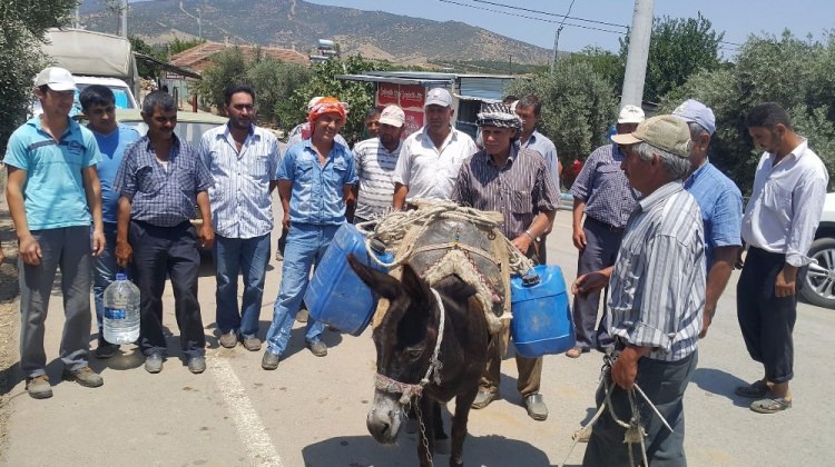 CHP'nin İzmiri'nde eşek sırtında su taşıyorlar