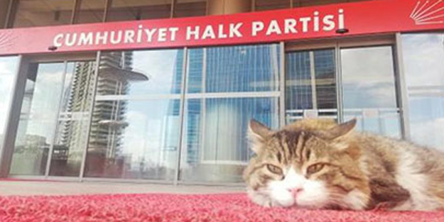 CHP'nin Şero'sunun fişi çekildi