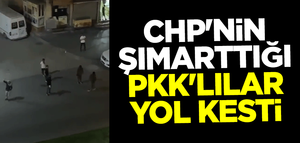 CHP'nin şımarttığı PKK'lılar yol kesti
