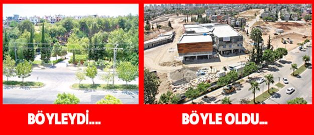 CHP’nin ağaç katliamına TMMOB’dan onay!