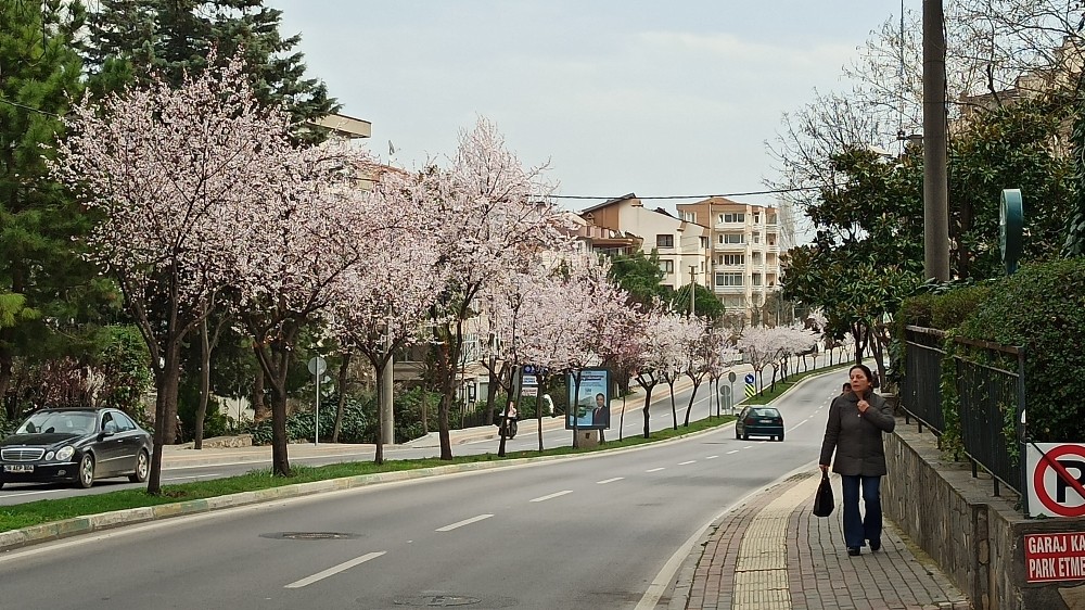 Çiçek açan erik ve bademler Bursa’ya baharı getirdi 