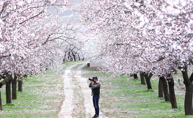 Çiçekler göründü Malatya beyaz gelinliğe büründü