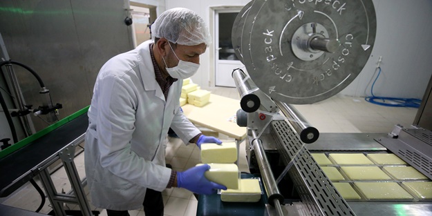 Çiftçi birliği, süt ürünleri gelirini 3 senede 4 kat artırdı