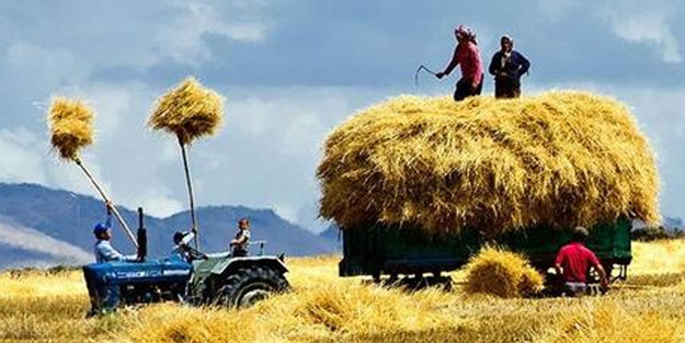 Çiftçi Kayıt Sistemi (ÇKS) başvurusu nasıl yapılır? Çiftçi Kayıt Sistemi kayıt belgeleri: