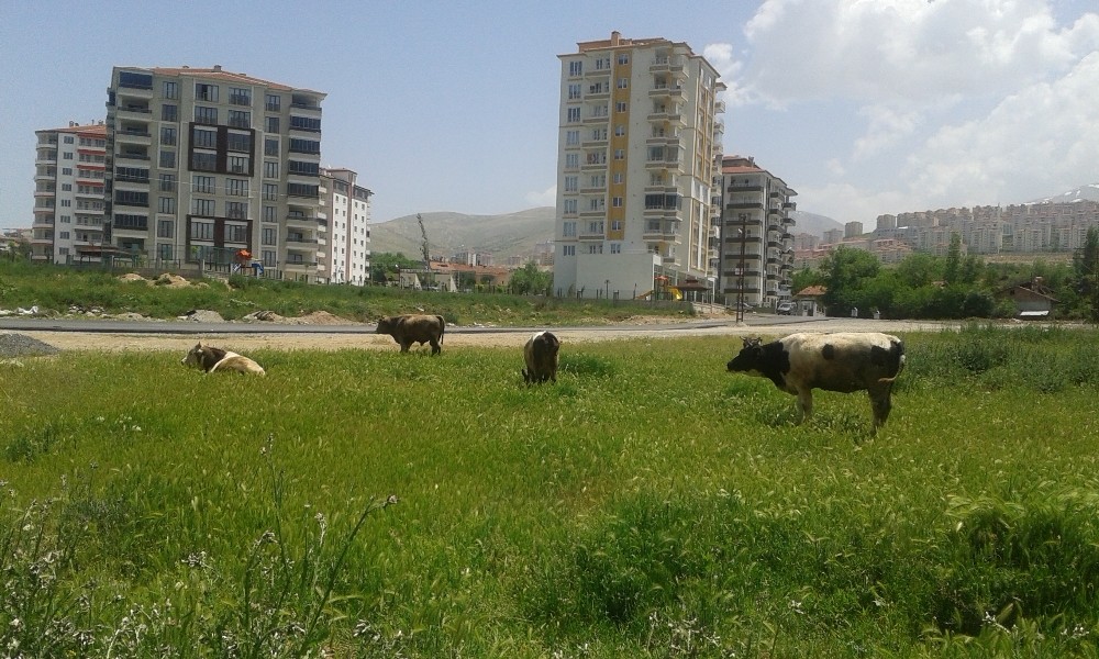 Çiftçi proje başvuruları 7 Temmuz’a uzatıldı 