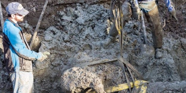 Çiftçi tarla sürerken bakın ne buldu!