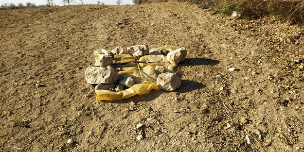 Çiftçi, tarlada buldu! Çok sayıda kemik ve...