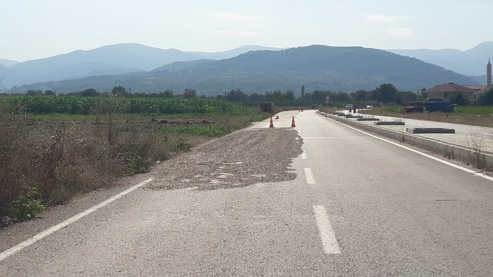 Çiftçiler çevre yolunda ay çekirdeği kurutmaya tekrar başladı 
