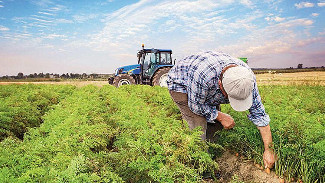 Çiftçiler dikkat! Bu başvuru tarihini sakın kaçırmayın