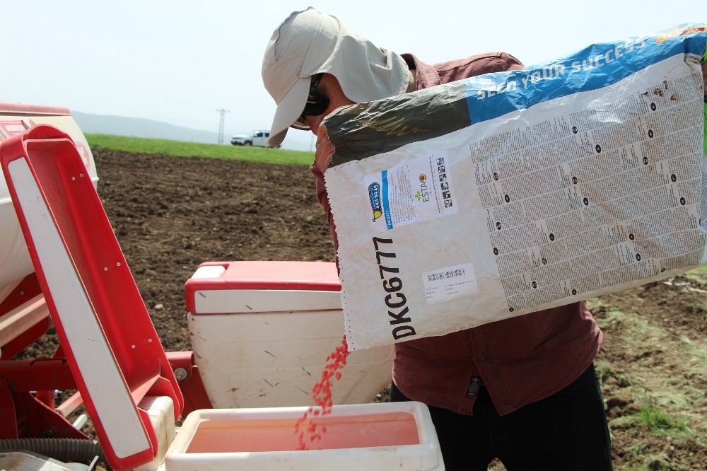 Çiftçiler, Ramazan ayında sıcak ve Covid-19’a rağmen tohumları toprakla buluşturuyor 