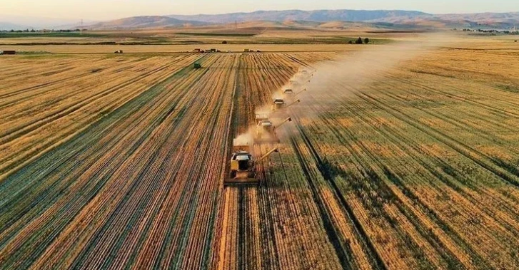 Çiftçilere 320 milyon liralık destek ödemesi