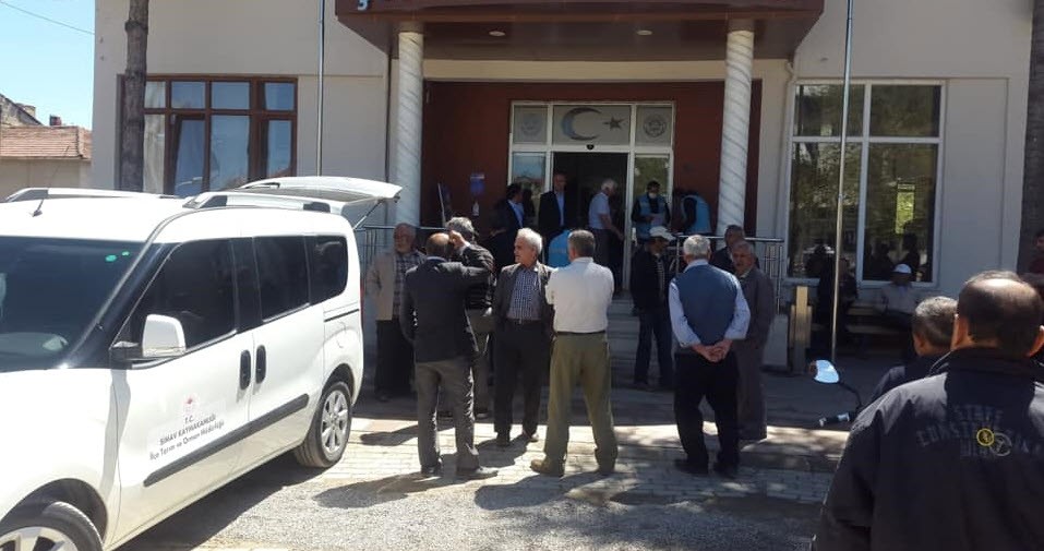 Çiftçilere ayçiçeği tohumu desteği 