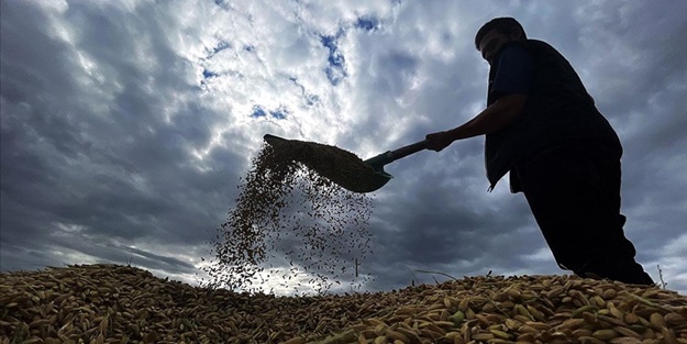 Çiftçilere kritik uyarı: Bunlara sakın aldanmayın