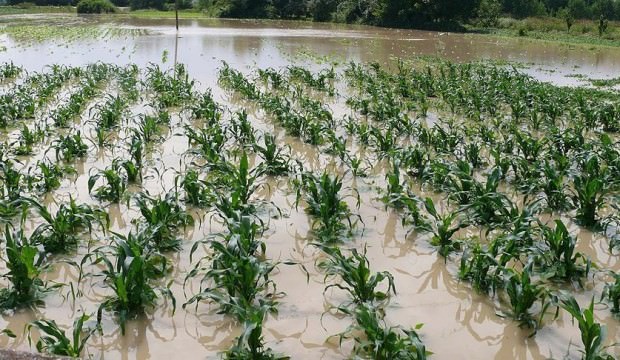 Çiftçilere müjde! Borçlar 1 sene ertelendi