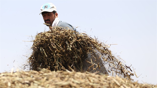 Çiftçilere ödeme bugün yapılacak